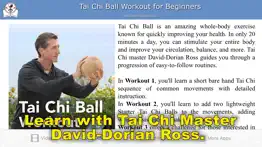 tai chi ball beginner iphone images 2