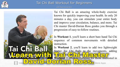 Tai Chi Ball Beginner Screenshot