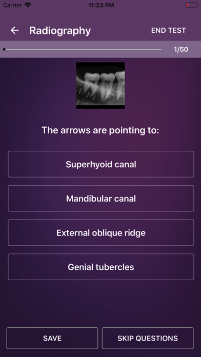 Dental Hygiene Academy Seminar Screenshot
