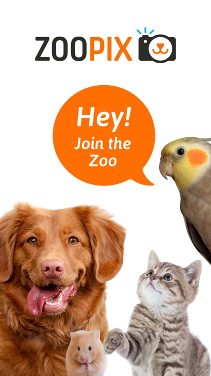 ZooPix screenshot-0