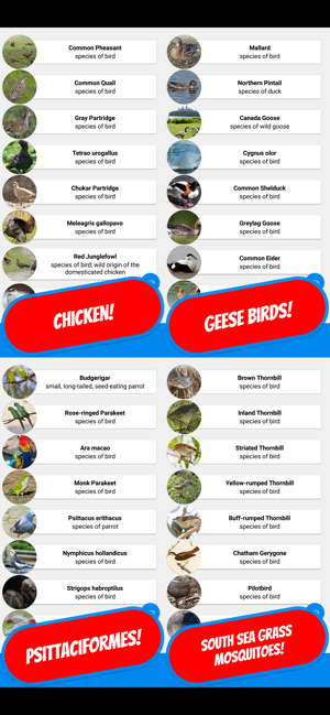 BIRDS & ORNITHOLOGY Quiz(圖4)-速報App