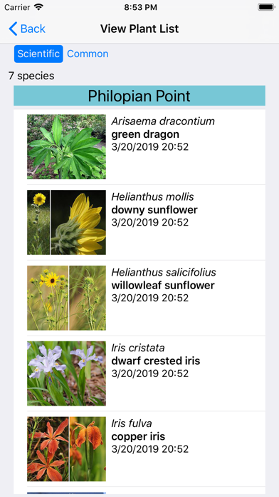 Kansas Wildflowers Screenshot
