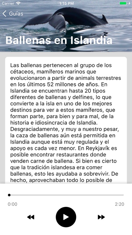Audioguía - Ballenas Islandia
