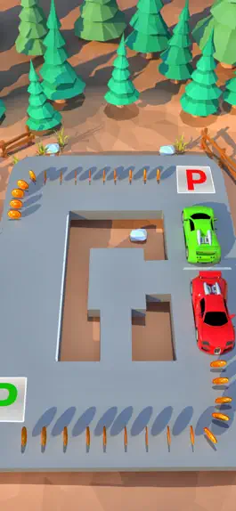 Game screenshot Perfect Park Master 3D hack