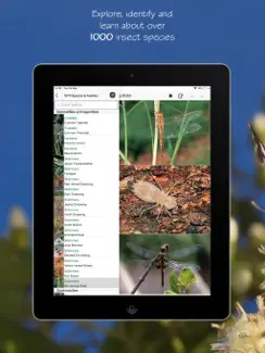 EInsects of South Africa iPad image 1