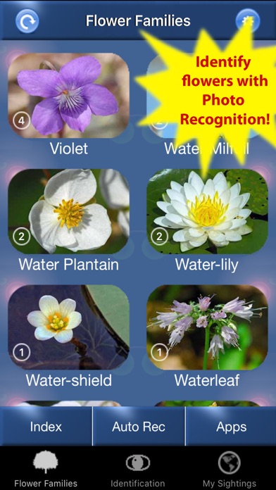 Screenshot #1 pour Wildflower Id USA Photo Recog.