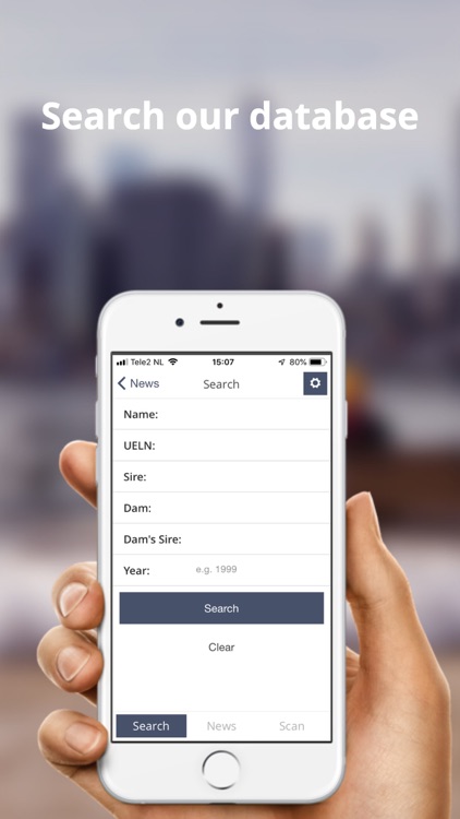 Anglo European Studbook