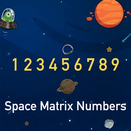 Space Matrix Numbers