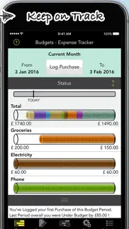 budgets pro - expense tracker iphone screenshot 4