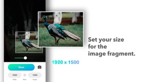 Resizable - Photo size screenshot