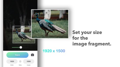 Resizable - Photo size Screenshot