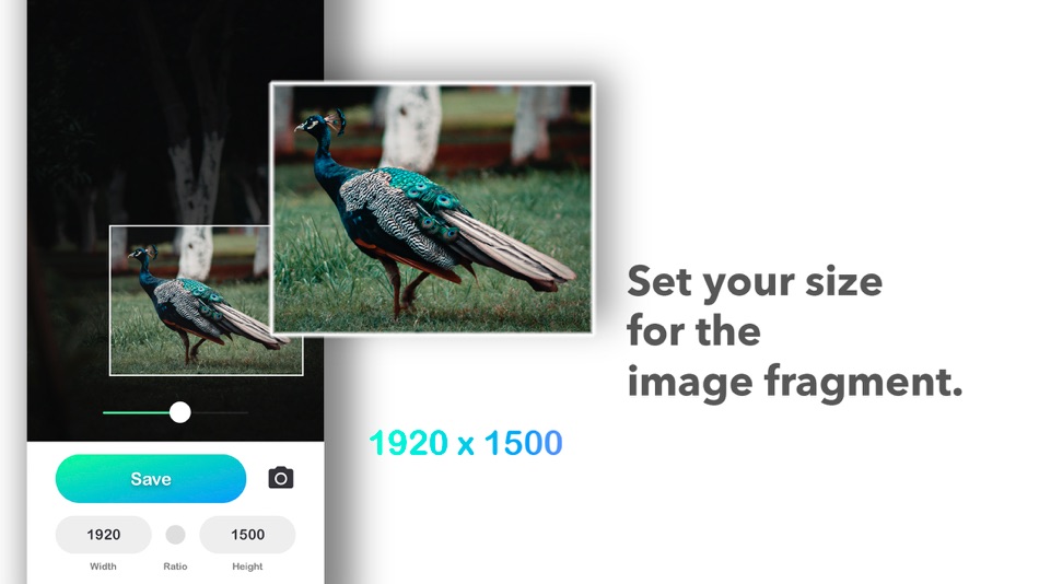 #2. Resizable - Photo size (iOS) โดย: Alexander Sukhanov