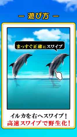 Game screenshot Can Dolphin Stand? hack