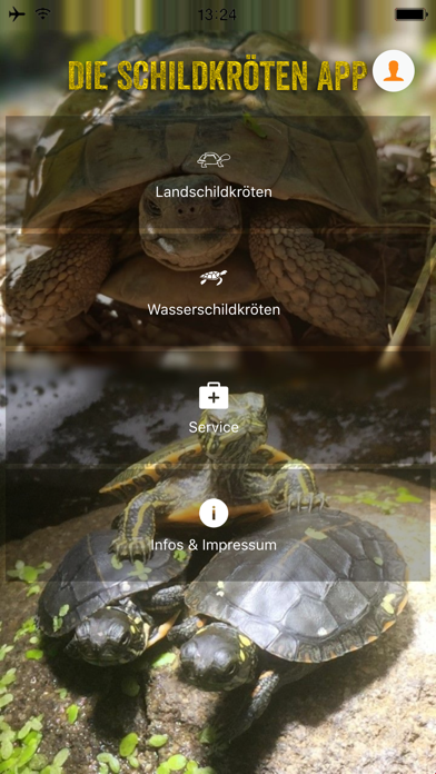 SchildkrГ¶ten Spiele Kostenlos SchildkrГ¶ten Spiele Kostenlos