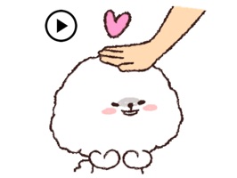 Animated Fluffy Bichon Frise