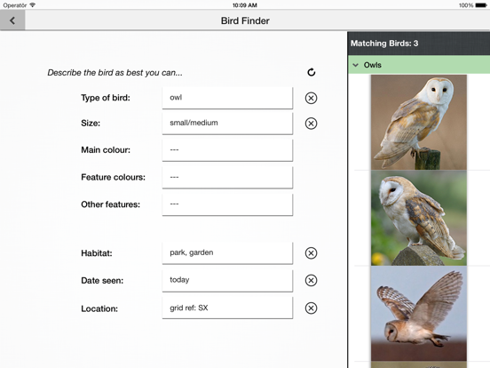 Screenshot #6 pour Birds of Britain Pocket Guide