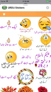 urdu stickers problems & solutions and troubleshooting guide - 3