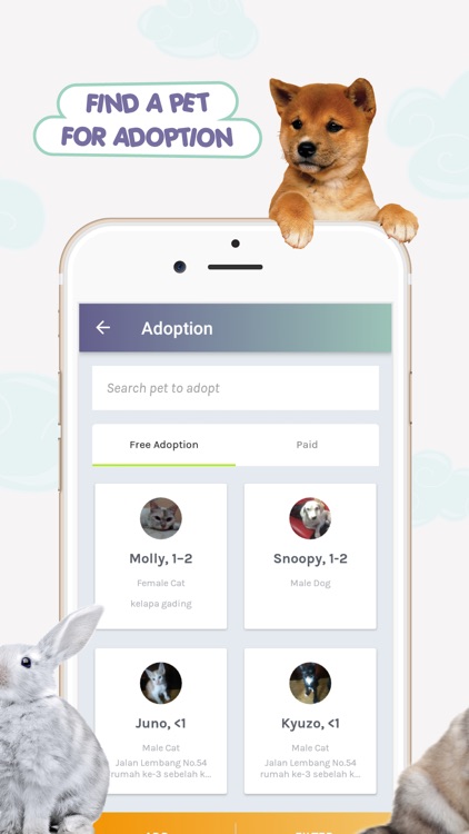 PETO - Pet Services + Adoption