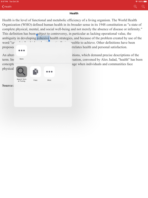 Tureng Vocabulary Notebook iPad screenshot 5 - Education app