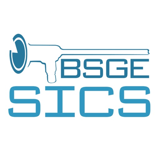 The BSGE Network icon