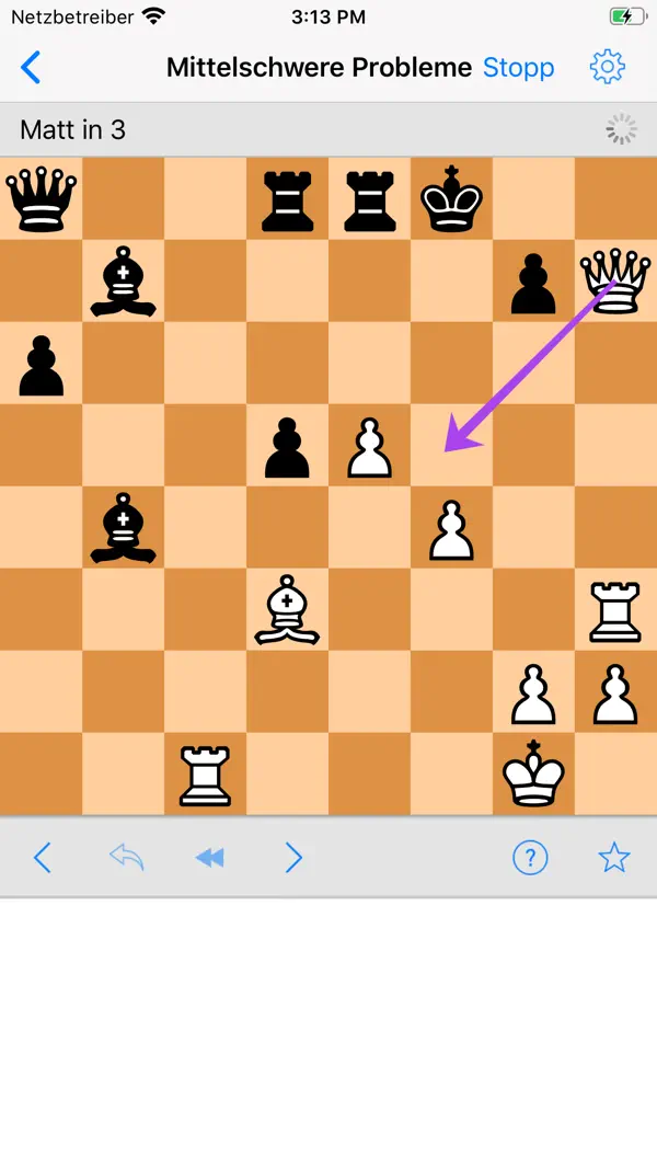 Schachprobleme Screenshot 1