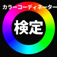 カラーコーディネーター検定問題集 pour PC