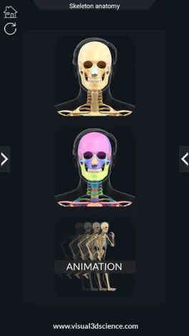 Game screenshot AR Skeleton Anatomy apk