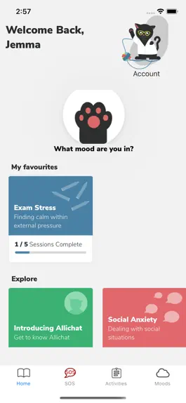 Game screenshot Alli-chat apk