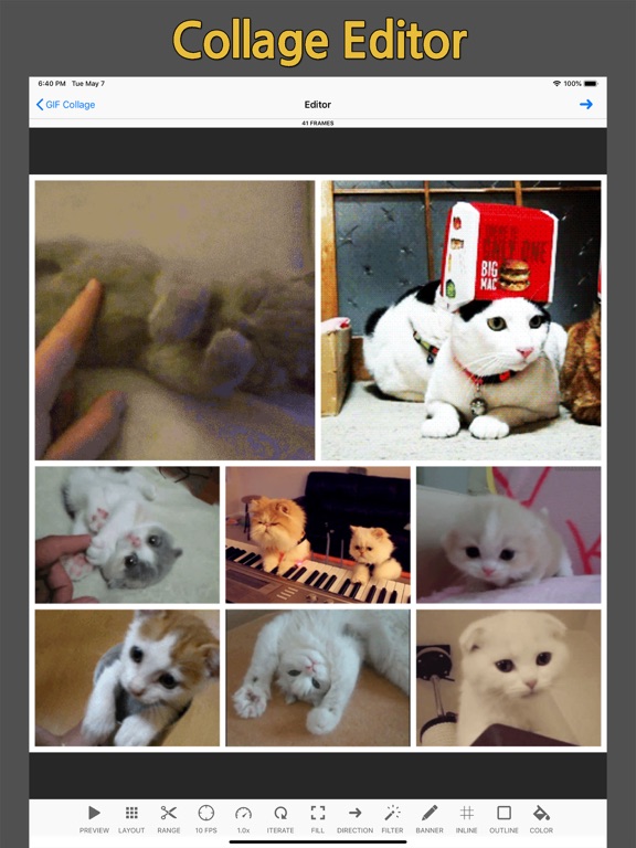 GIF Toaster - Photos, Burst, Video to GIF Maker screenshot