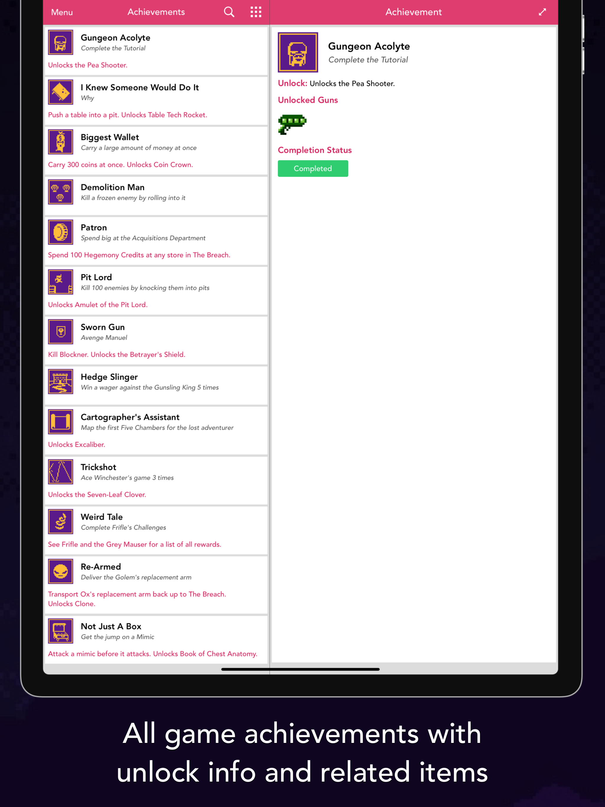 Guide for Enter the Gungeon