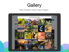 Alook Browser - 8x Speed iPad image 4