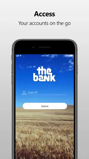 The Bank KS screenshot 1