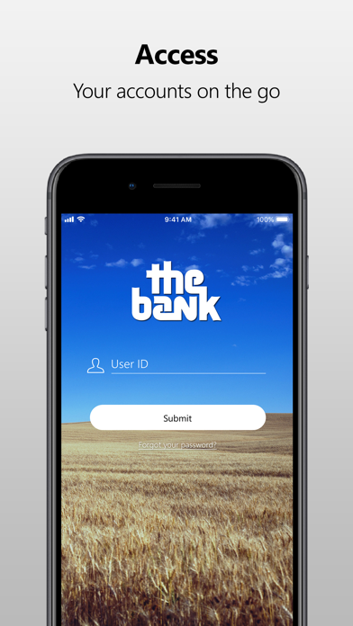 The Bank KS Screenshot