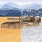 Retro Tanks Battle is a 3D shooter tank battle game