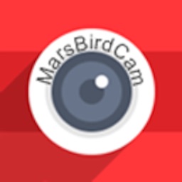 MarsBirdCam
