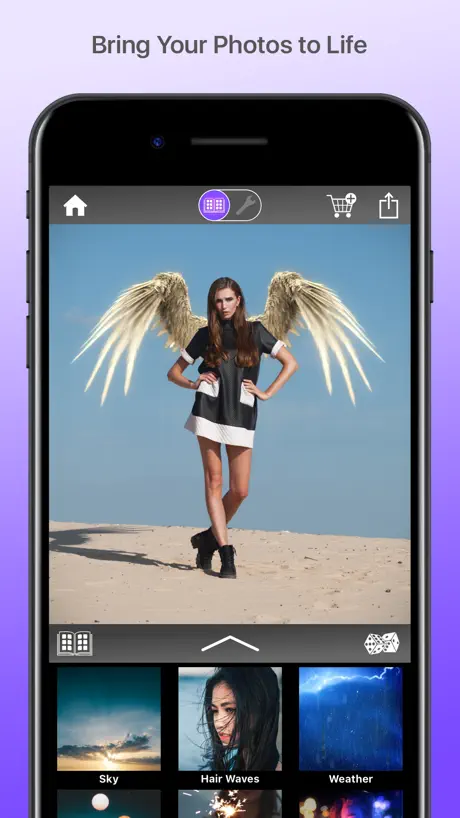 Werble: Photo & Video Animator