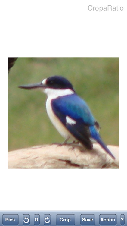 CropaRatio Little screenshot-4