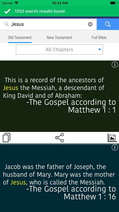 NIV Bible The Holy Version Screenshot