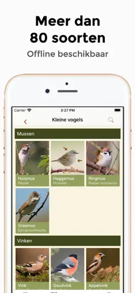 Game screenshot Tuinvogelgids apk