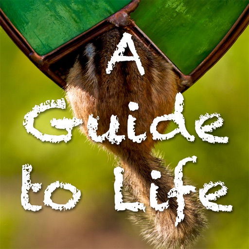 A Guide To Life icon