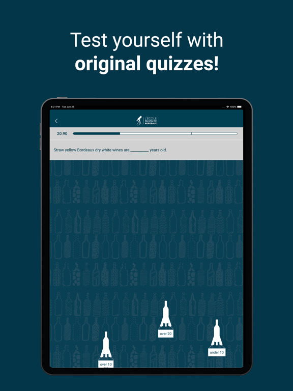 OEnoBordeaux iPad screenshot 3 - Education app