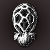 iFunch - Mushrooms and AI pour PC