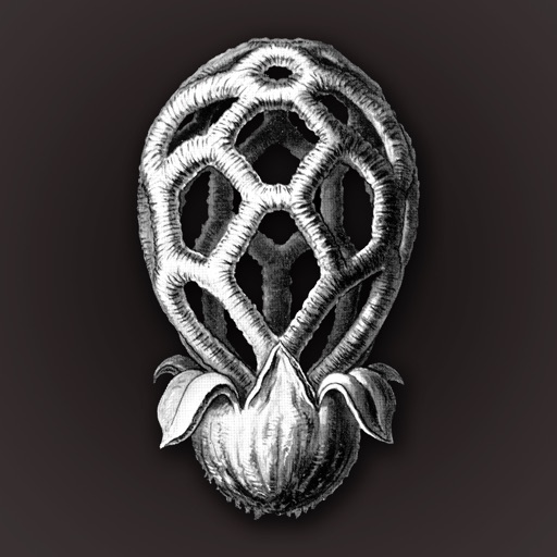 iFunch - Mushrooms and AI