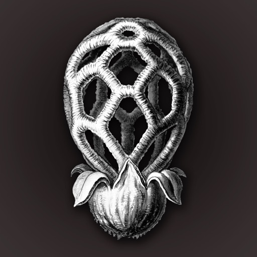 iFunch - Mushrooms and AI Icon