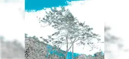 Game screenshot MA Ink Painting apk