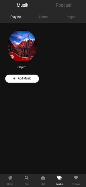 Maleena Music(圖6)-速報App