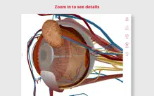 Anatomy & Physiology iPhone image 3