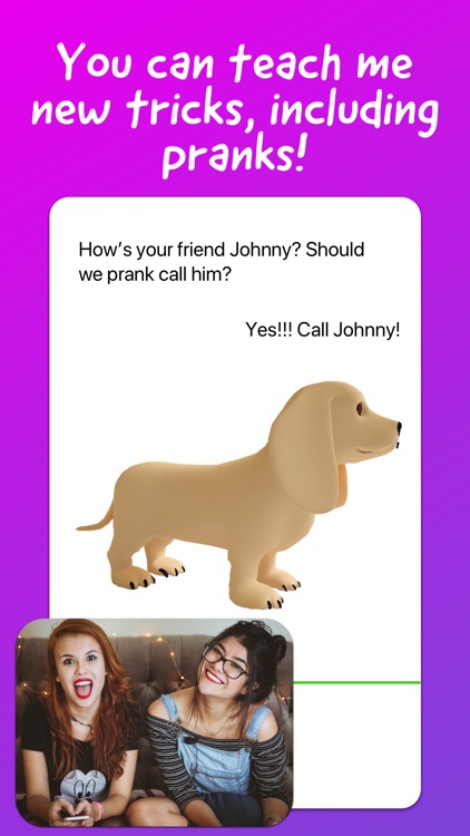 Talking Dog, the savage AI pet screenshot-3