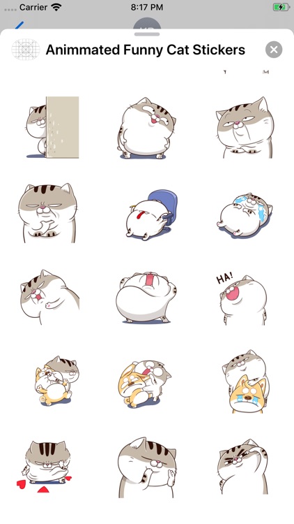 Animated Funny Cat Stickers