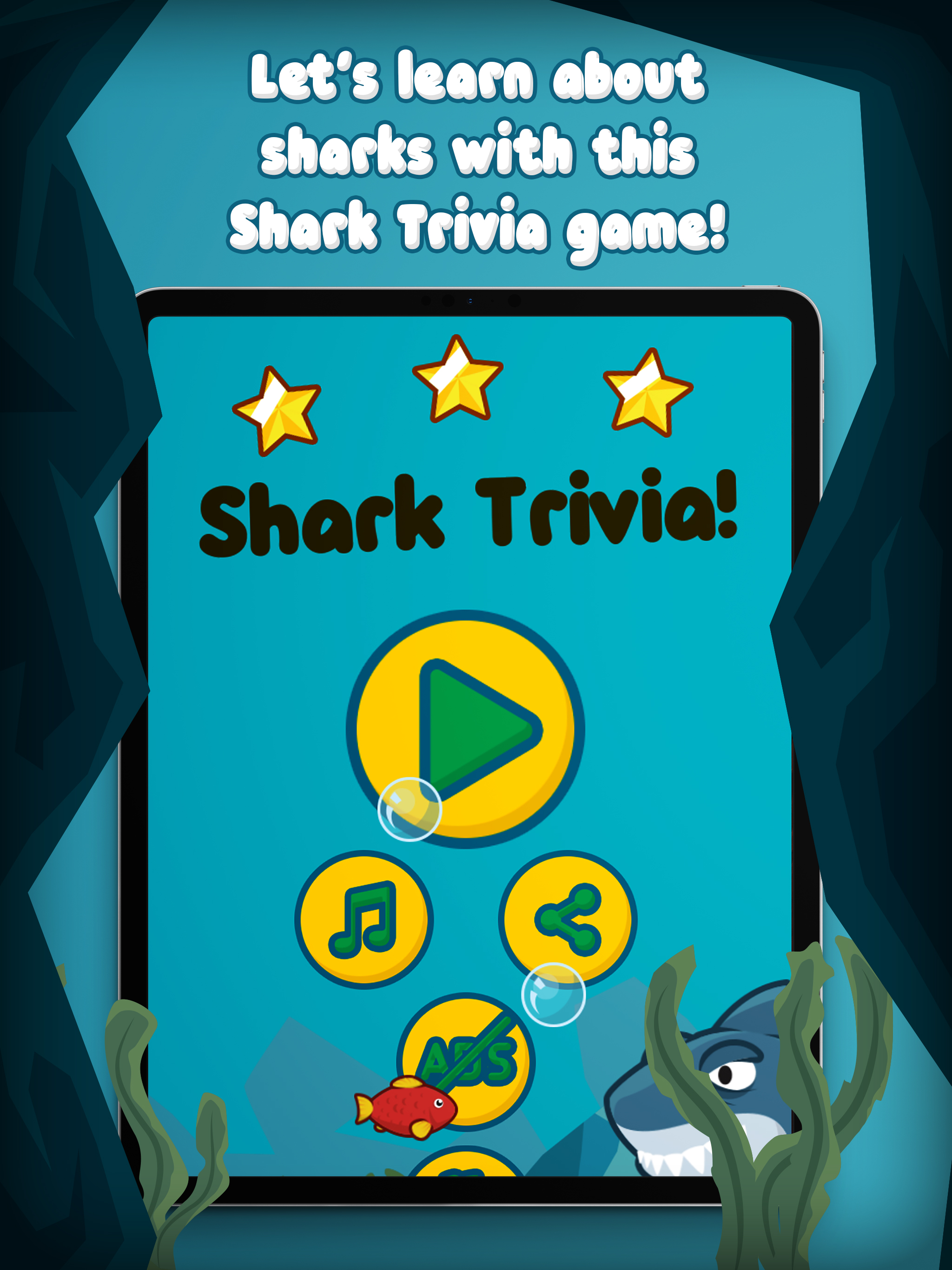 Shark Trivia!